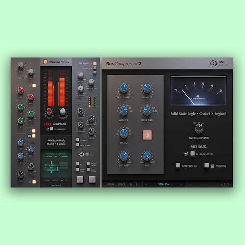 Solid State Logic SSL Essentials Bundle Channel Strip/Bus Comp